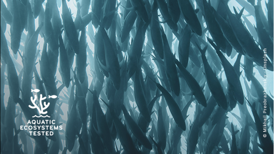 As nossas iniciativas para limitar o impacto ambiental